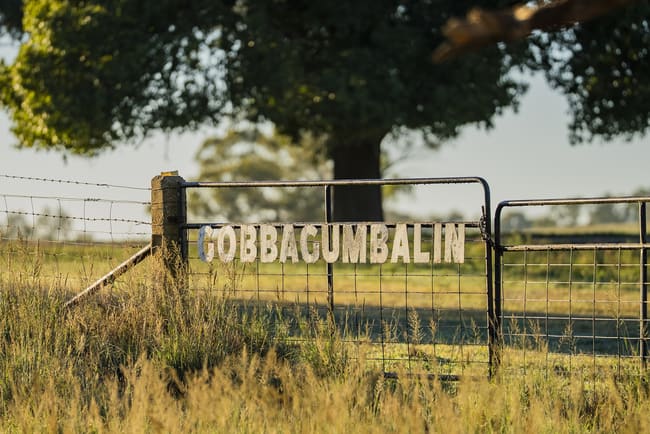 9 River Road Gobbagombalin NSW 2650