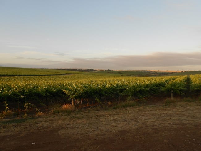 Lyndoch SA 5351 Lyndoch SA 5351
