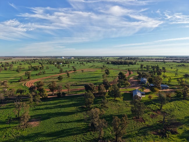 Farm 518 (West) Wood Road Coleambally NSW 2707
