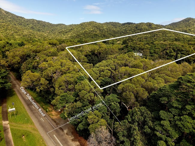 332 Cape Tribulation Road, Cow Bay Daintree QLD 4873