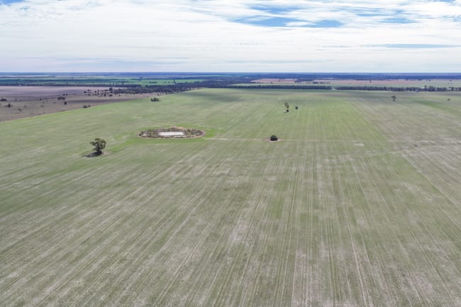 26446 Newell Highway Moree NSW 2400