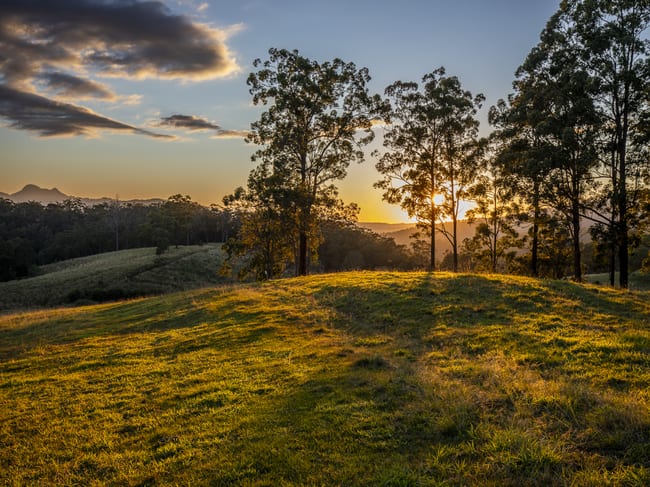 113-124 Boormans Rd Tyalgum NSW 2484 113-124 Boormans Rd Tyalgum NSW 2484