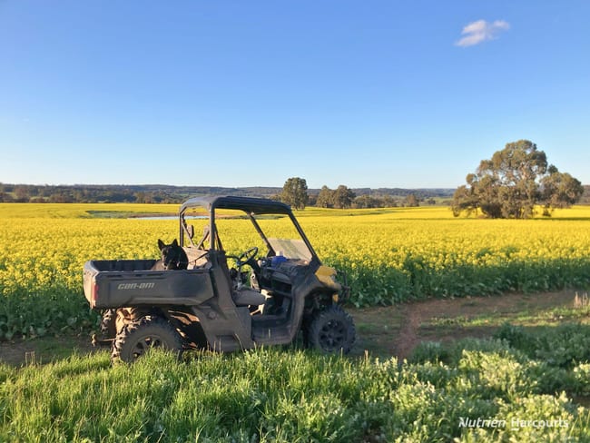 8221 Brookton Highway Jelcobine WA 6306