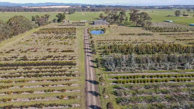143 Archbalds Lane Tyers VIC 3844 143 Archbalds Lane Tyers VIC 3844
