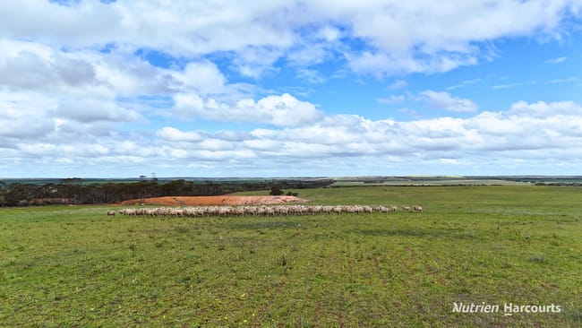 Lot 1 Calzoni Road Woolocutty WA 6369 Lot 1 Calzoni Road Woolocutty WA 6369