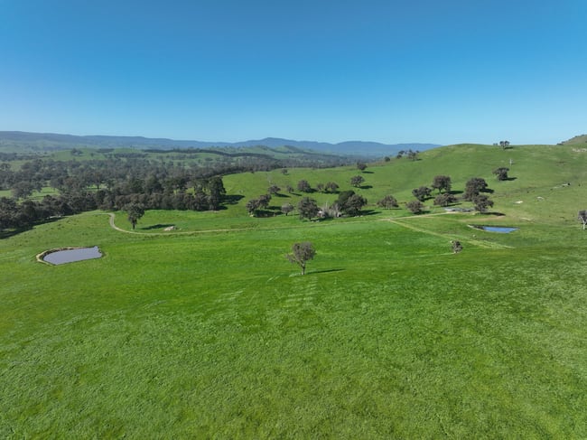 5695 Melba Highway Yea VIC 3717
