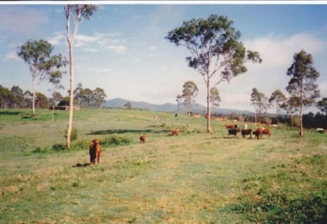Berajondo QLD 4674 Berajondo QLD 4674
