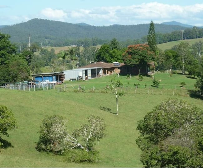 123 Williams Hill Road Yarranbella NSW 2447 123 Williams Hill Road Yarranbella NSW 2447