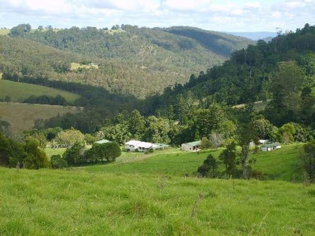 72 Goulds Falls Road Legume NSW 2476