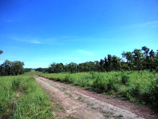 Lot 1268 Coach Road Batchelor NT 0845 Lot 1268 Coach Road Batchelor NT 0845