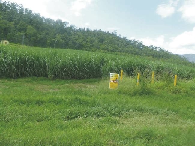 Lot 13 Stone River Road Upper Stone QLD 4850