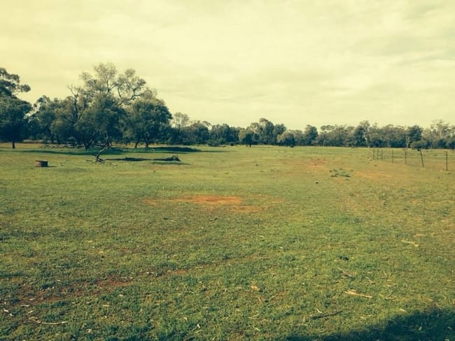 Cobar NSW 2835