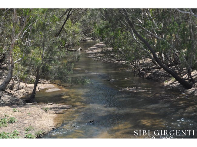 22/836 Wolfram Road Dimbulah QLD 4872 22/836 Wolfram Road Dimbulah QLD 4872