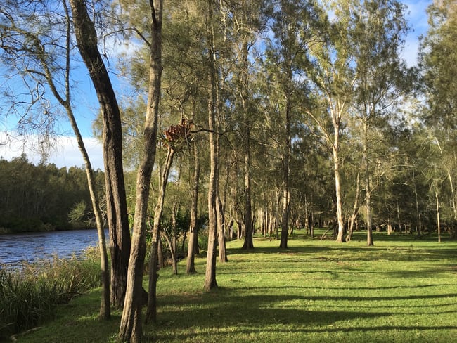 Lot 8 Haydons Wharf Road Cooperabung NSW 2441 Lot 8 Haydons Wharf Road Cooperabung NSW 2441