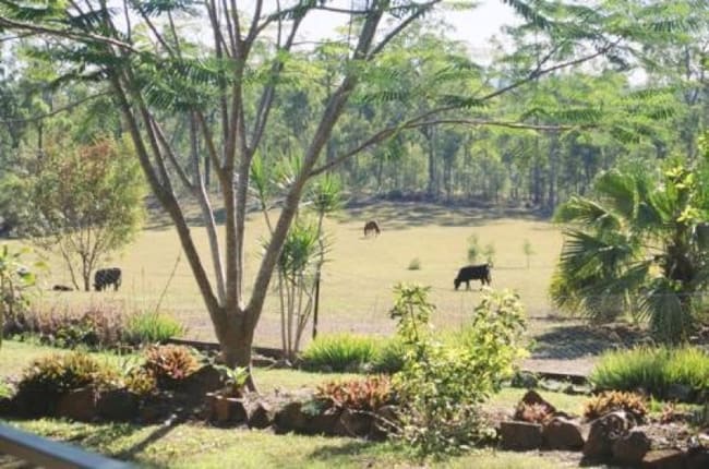 486 Cross Road Euleilah QLD 4674 486 Cross Road Euleilah QLD 4674