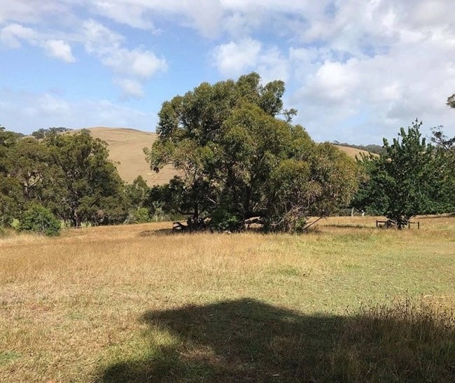 Lot 51c/140 Bolgers Road. Devon North VIC 3971