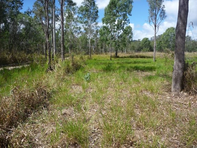 Lot 37 Wetherby Road Mount Molloy QLD 4871