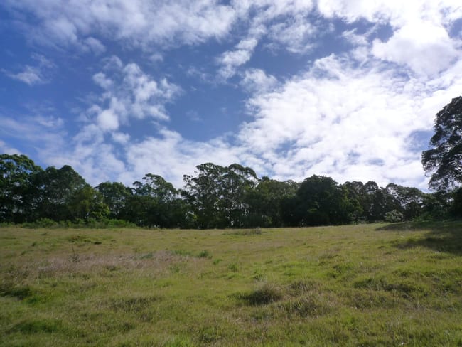 49 Old Gympie Rd Yandina QLD 4561 49 Old Gympie Rd Yandina QLD 4561