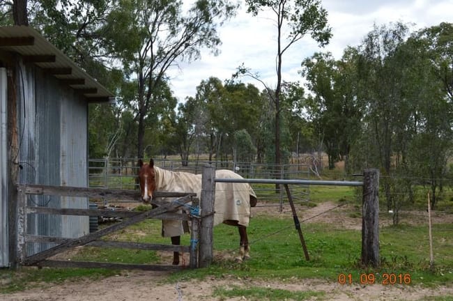 76 Roche Creek Rd Wandoan QLD 4419 76 Roche Creek Rd Wandoan QLD 4419