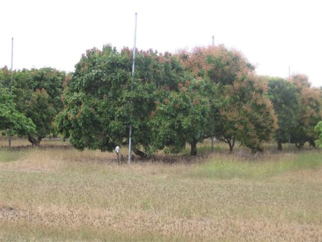 Lots 26 & 27 Bartlett Road Horseshoe Lagoon QLD 4809