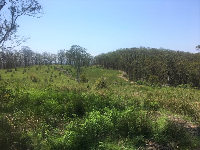 702 Comboyne Road Bagnoo NSW 2446 702 Comboyne Road Bagnoo NSW 2446