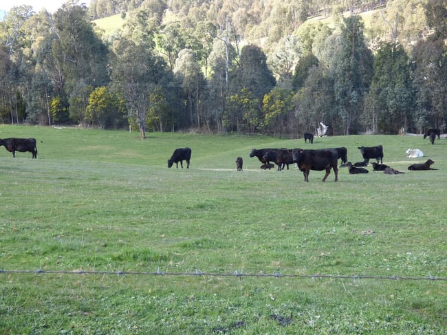 Myrtleford VIC 3737 Myrtleford VIC 3737