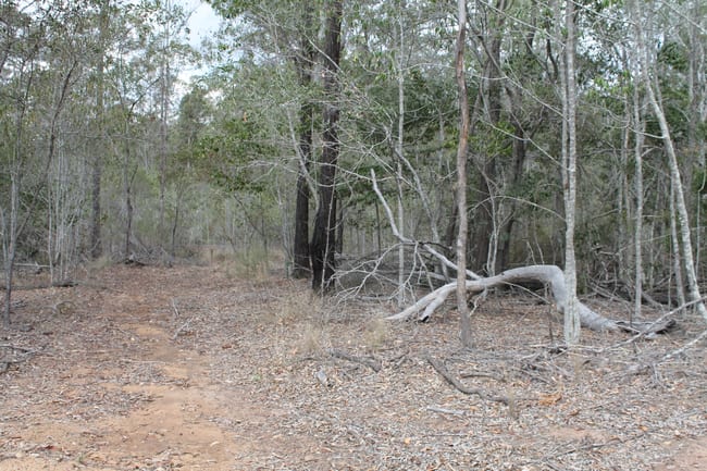 1210 Old Esk Road Taromeo QLD 4314