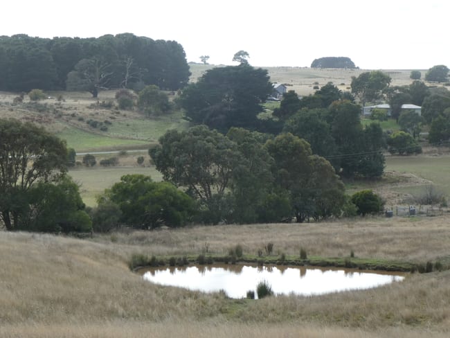CA1 Sec 9 Beaufort-Carngham Road Carngham VIC 3351