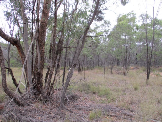 Lot 280 Fortune Drive Tara QLD 4421
