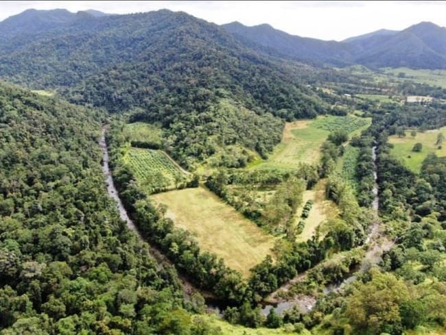 73 Brodies Road Mount Charlton QLD 4741