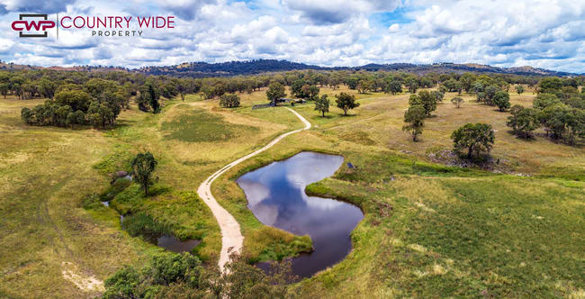 170 Northcotts Road Glen Innes NSW 2370 170 Northcotts Road Glen Innes NSW 2370