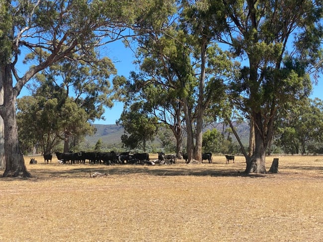 Lot 2 Wonwondah-Dadswells Bridge Road Laharum VIC 3401