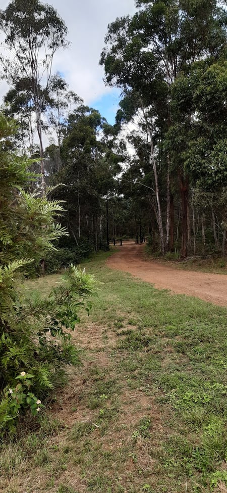 281 DYER ROAD Googa Creek QLD 4314