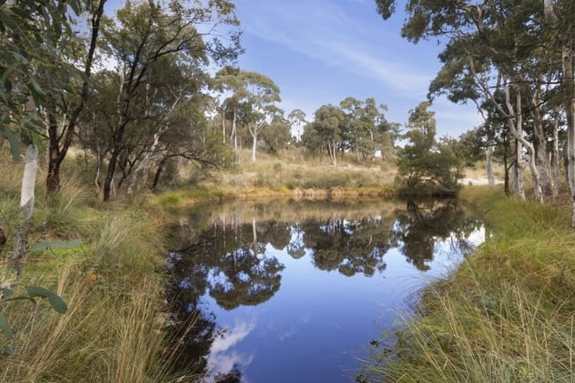 1555 Burra rd Burra NSW 2620