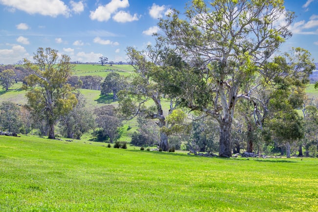 4970 Coleraine Edenhope Road Harrow VIC 3317 4970 Coleraine Edenhope Road Harrow VIC 3317