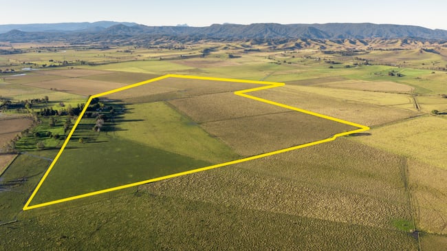 90 O'Connors Road Fairy Hill NSW 2470