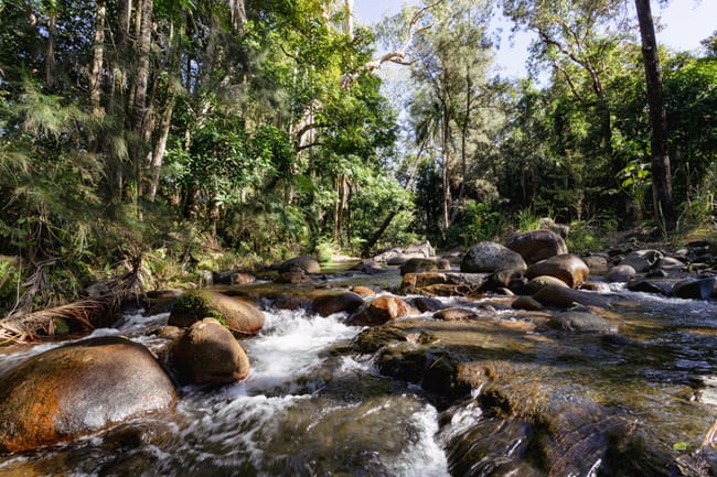 Lot 1 Forest Road Owens Creek QLD 4741 Lot 1 Forest Road Owens Creek QLD 4741