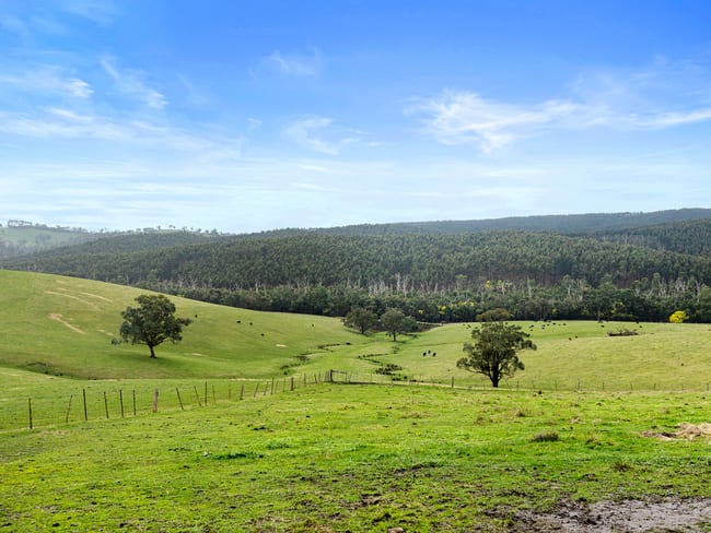 2 PS440697A, 225 North Mountain Road Heathcote Junction VIC 3758