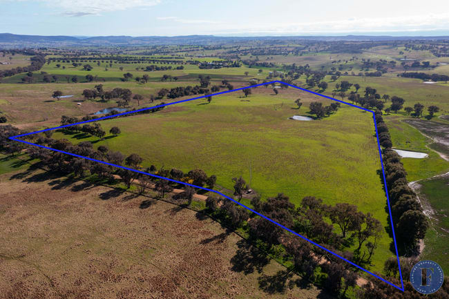 Lot 3 Milo Roads Murringo NSW 2586 Lot 3 Milo Roads Murringo NSW 2586