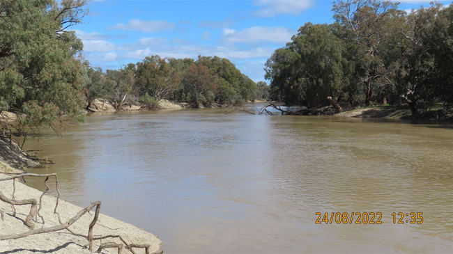 * East Weelong Louth NSW 2840 * East Weelong Louth NSW 2840