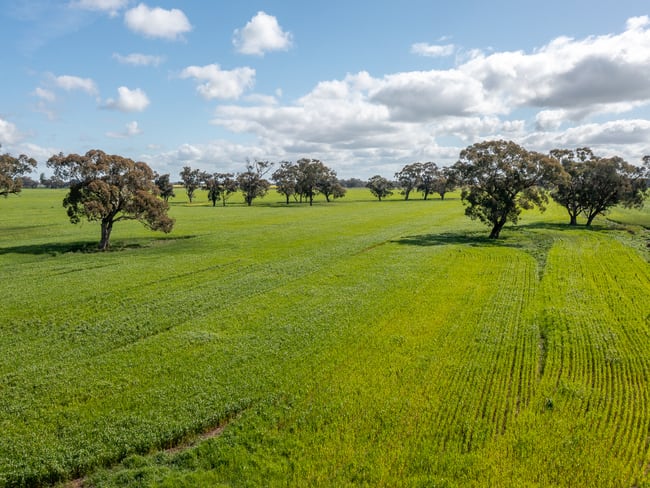 1 Humeden Road Collendina NSW 2646 1 Humeden Road Collendina NSW 2646