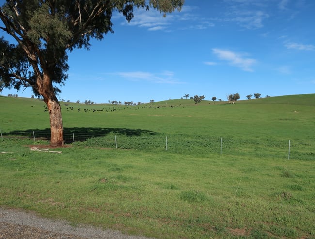 327 Wokolena Road Wagga Wagga NSW 2650 327 Wokolena Road Wagga Wagga NSW 2650