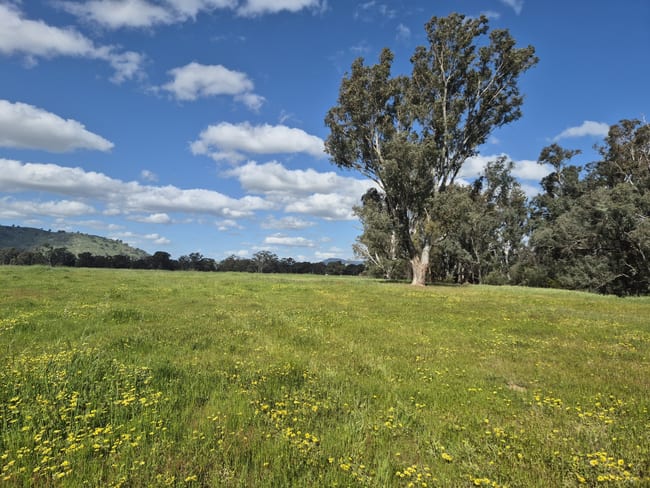 393 Mansfield Road Euroa VIC 3666 393 Mansfield Road Euroa VIC 3666