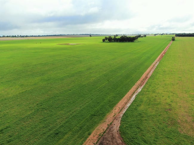 2648 Old Narrandera Road Currawarna NSW 2650