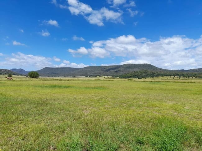 3046 Baradine road Coonabarabran NSW 2357 3046 Baradine road Coonabarabran NSW 2357