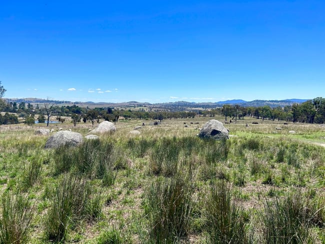 Lot 322 Jenkyn Lane Uralla NSW 2358 Lot 322 Jenkyn Lane Uralla NSW 2358