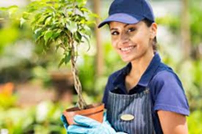 Gold Coast Greater Region QLD Gold Coast Greater Region QLD