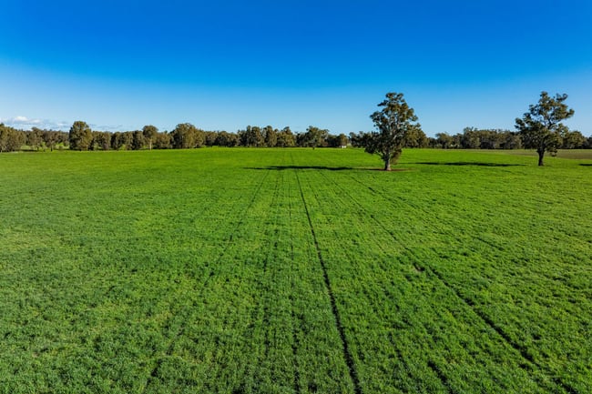 126 Kneebones Road Wagga Wagga NSW 2650