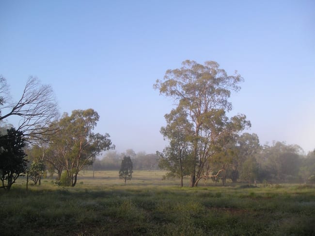 2787 Mosquito Creek Road Mosquito Creek QLD 4387 2787 Mosquito Creek Road Mosquito Creek QLD 4387