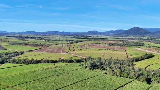 Lot 21 241 Wintons Road Yalboroo QLD 4741